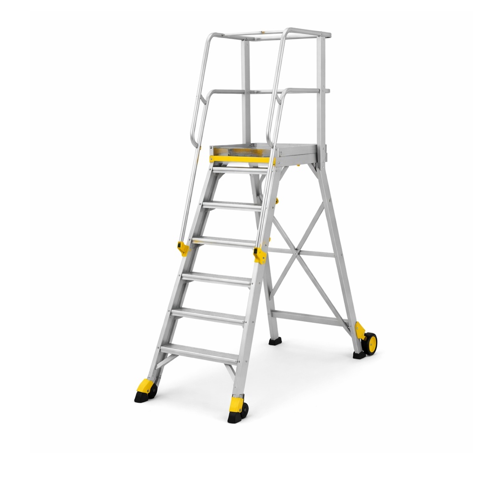 Ladder - Platform - Trade/Industrial (11)